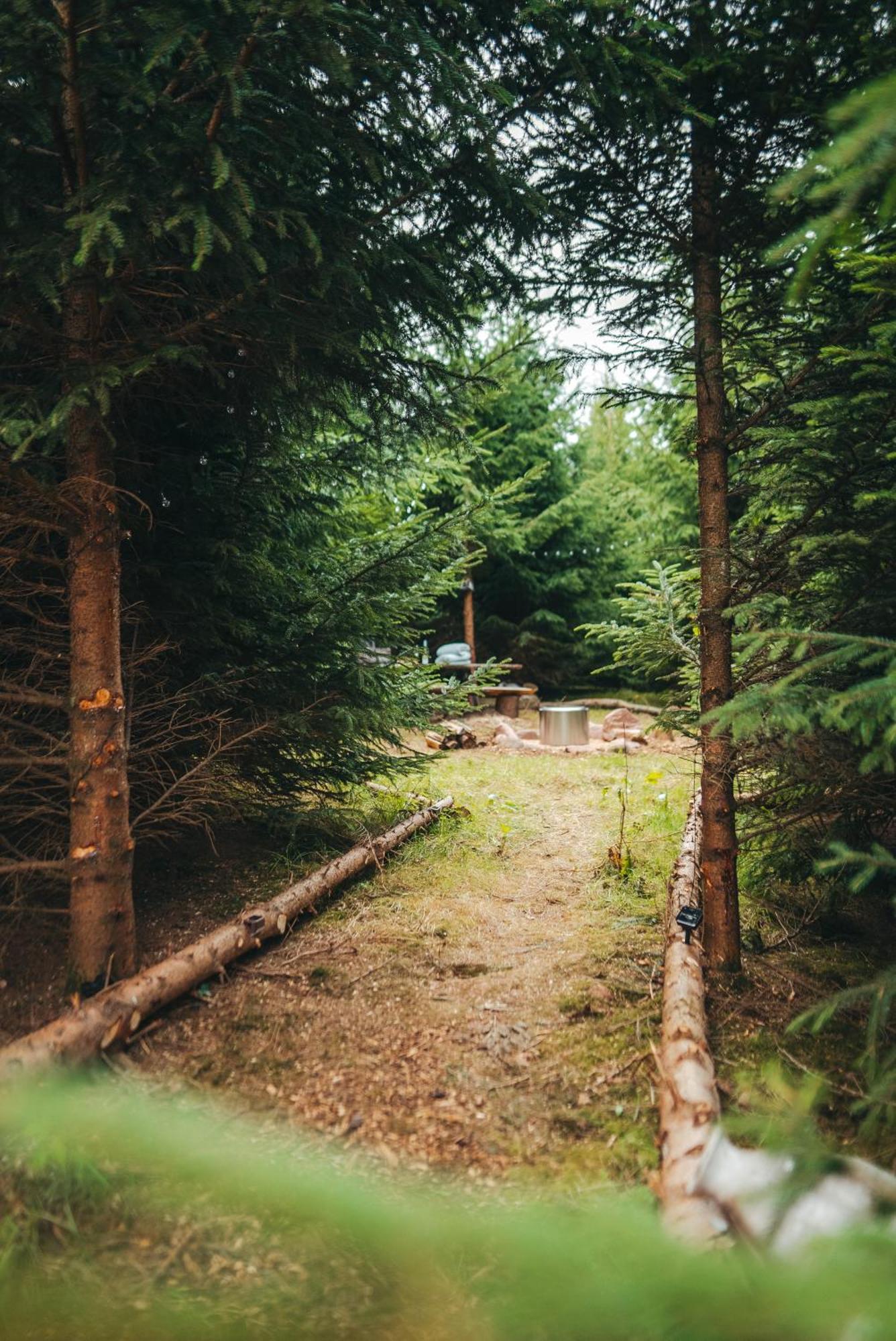Cosy Forest Lodge Penrhos  Екстер'єр фото