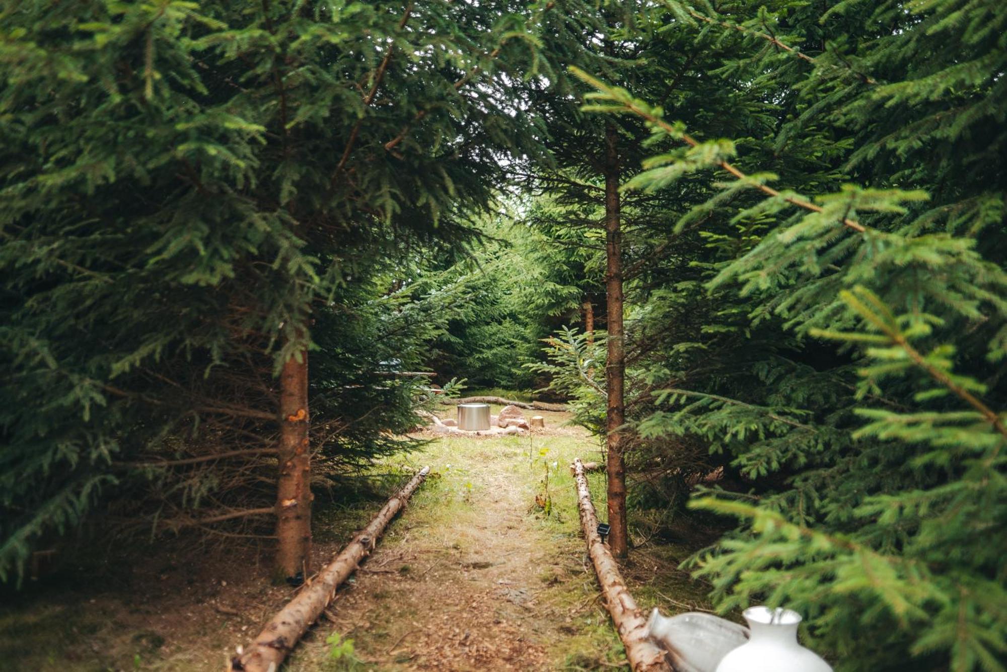 Cosy Forest Lodge Penrhos  Екстер'єр фото