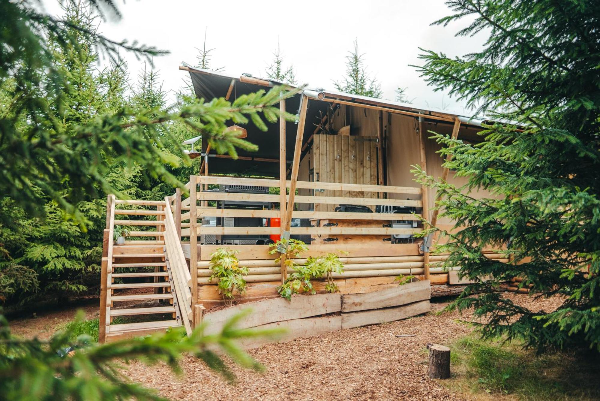 Cosy Forest Lodge Penrhos  Екстер'єр фото